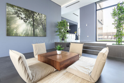 Real Estate Photography - Huge and Luxury Villa in Dubai