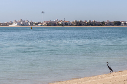 Louie Alma - Travel Photography, Palm Beach Dubai